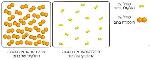 (בספר תמונה, היעזר במנחה)